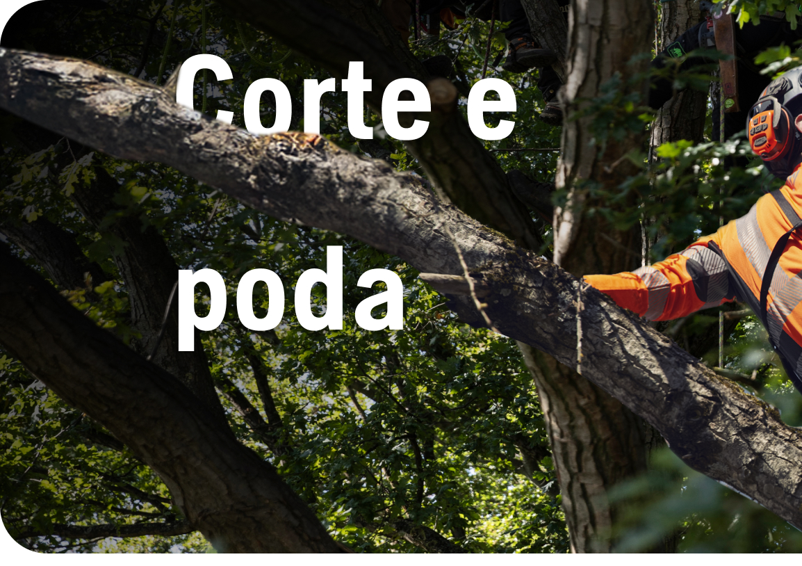 Corte y poda