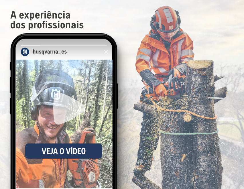 La experiencia de los profesionales